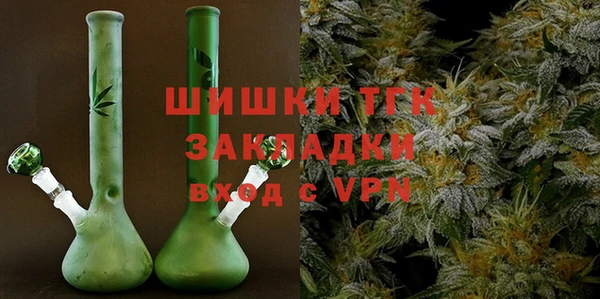 хмурый Александровское