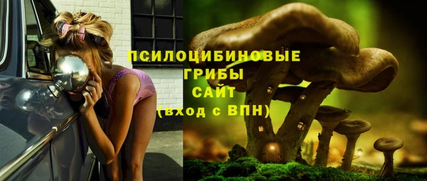 экстази Калининец