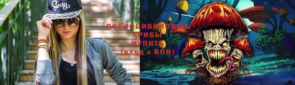 хмурый Александровское