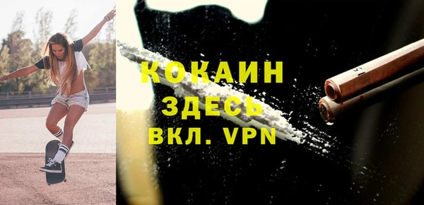 дмт Фёдоровский